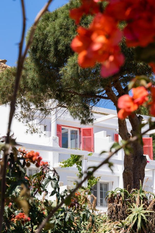 Rhenia Hotel Τούρλος Εξωτερικό φωτογραφία