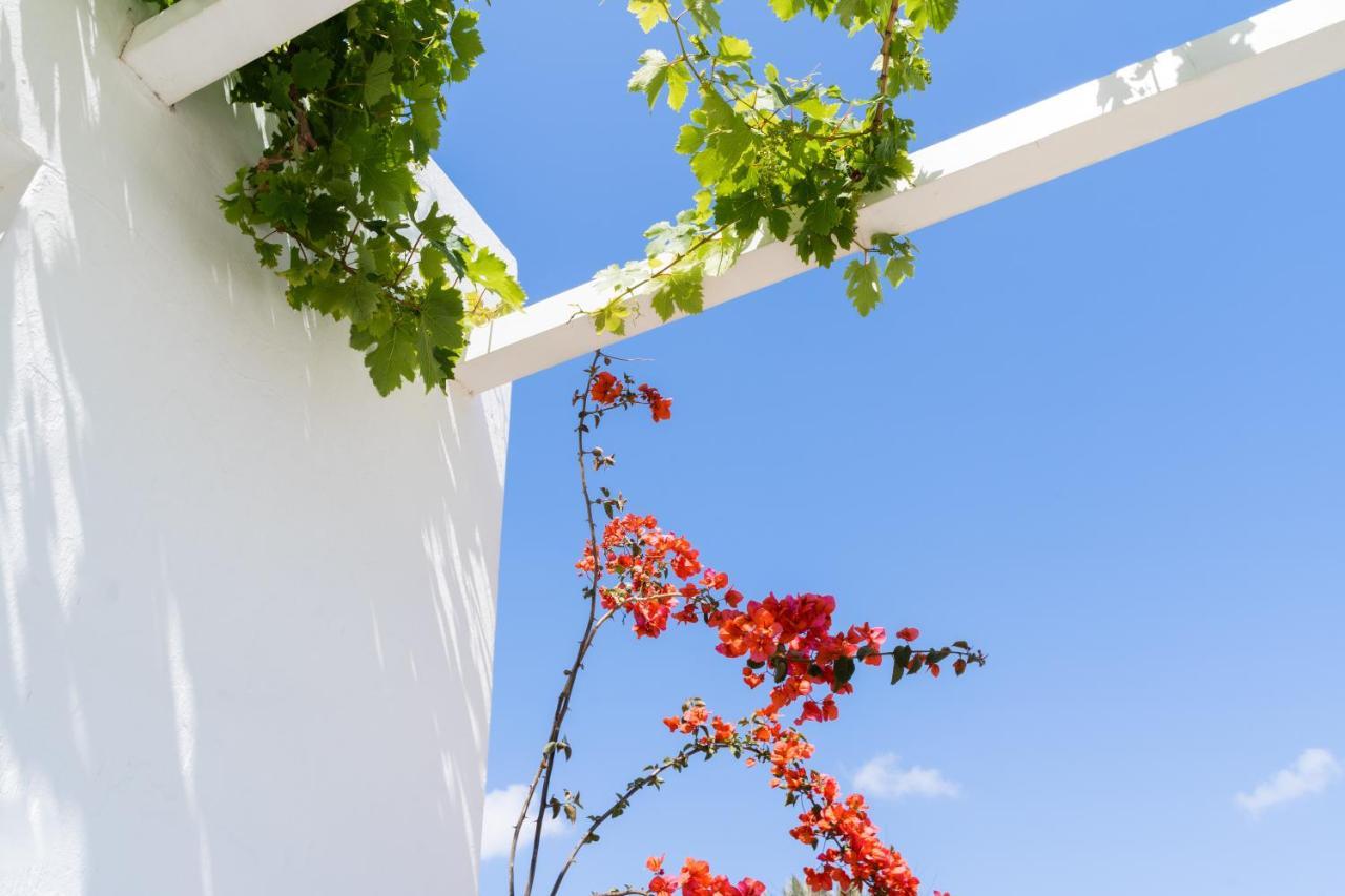 Rhenia Hotel Τούρλος Εξωτερικό φωτογραφία
