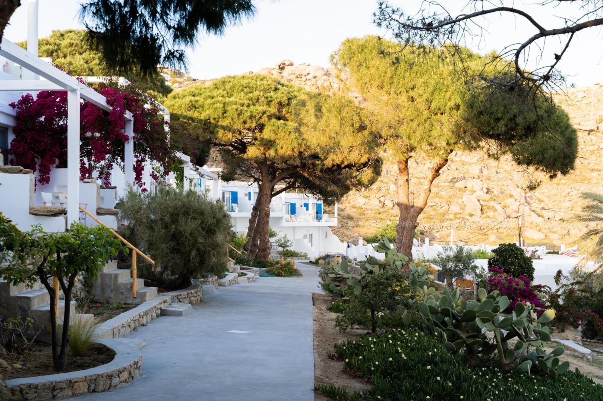 Rhenia Hotel Τούρλος Εξωτερικό φωτογραφία